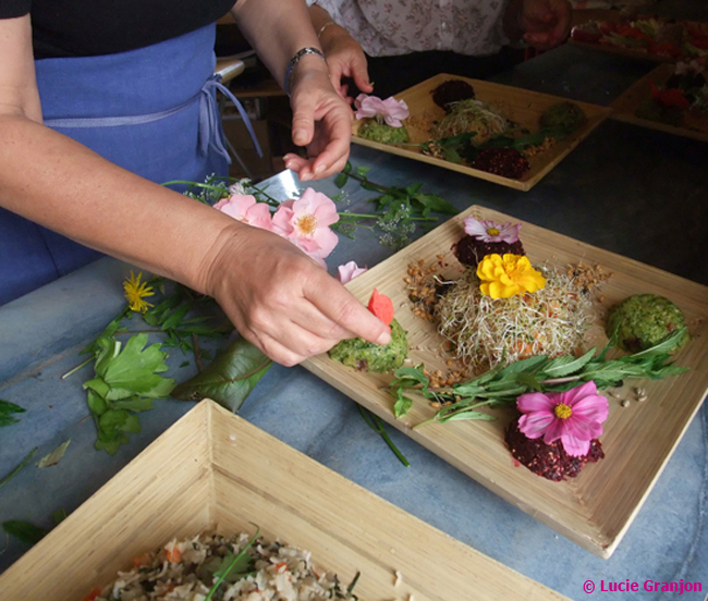 Stages de cuisine Terre Vivante