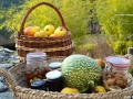 Stages de cuisine proposés par Terre Vivante