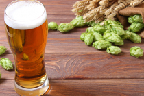 Le houblon en cuisine