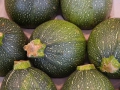 Petites courgettes farcies aux pignons