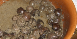 Rognons de boeuf au vin rouge